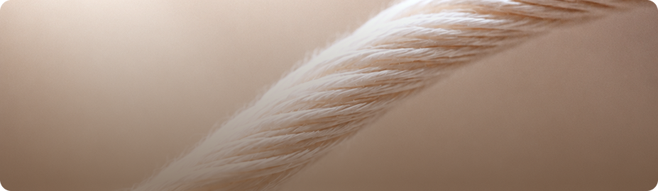 Close woven cotton yarn texture